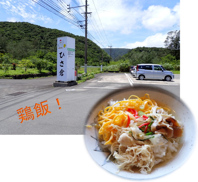 加計呂麻ダイビング