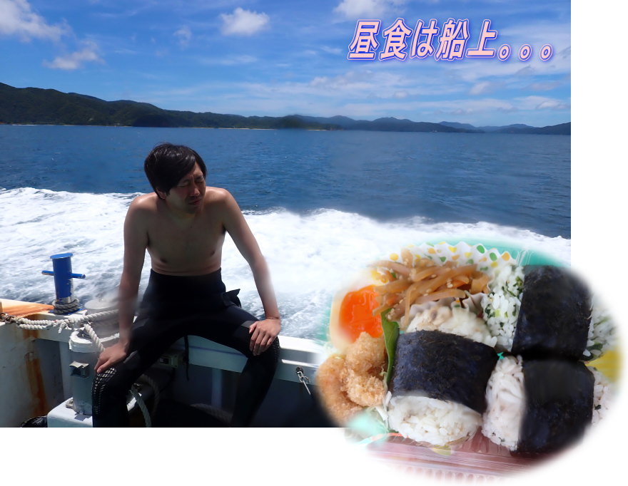 加計呂麻ダイビング
