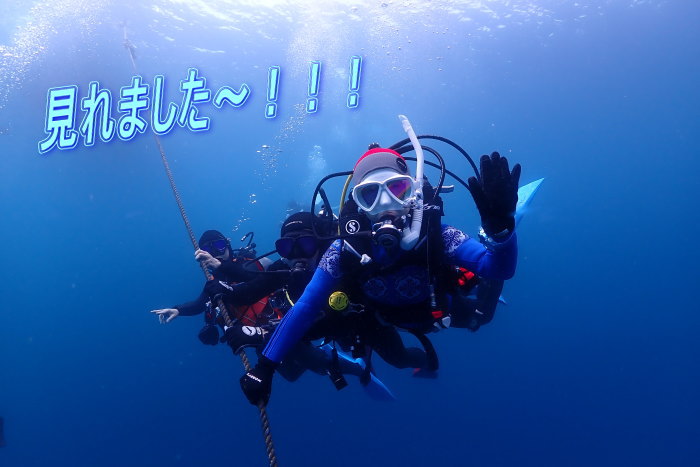 加計呂麻ダイビング