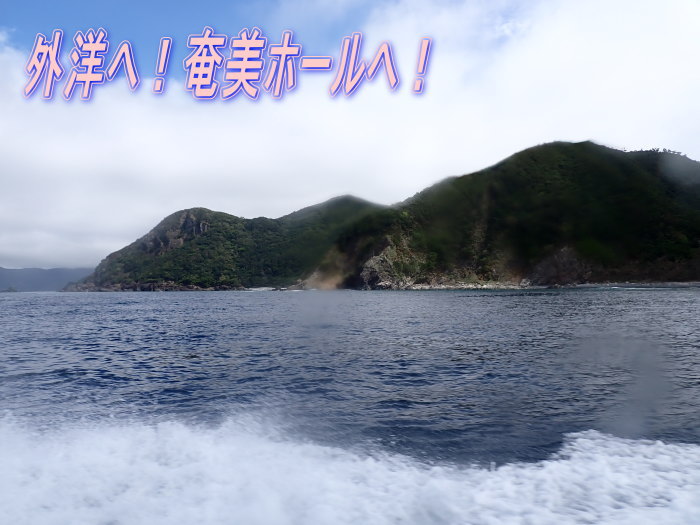 加計呂麻ダイビング