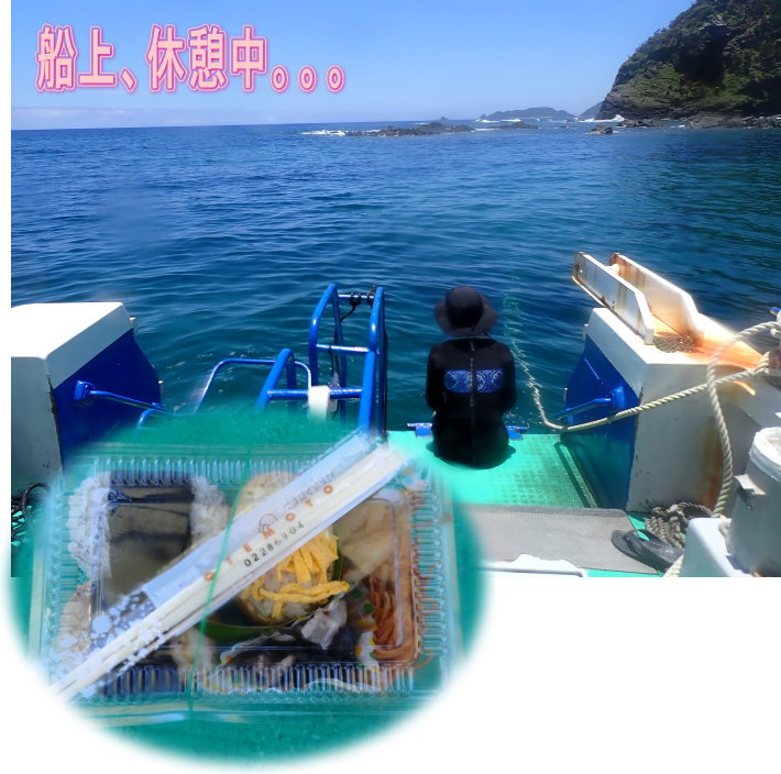 加計呂麻ダイビング