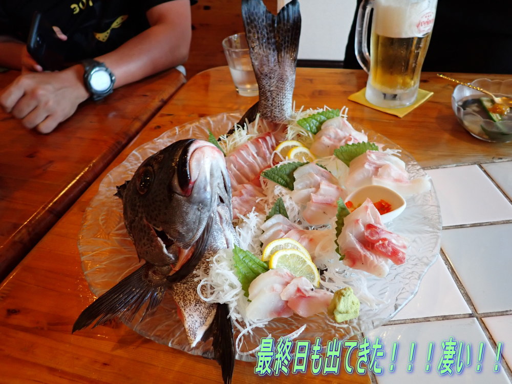 加計呂麻ダイビング