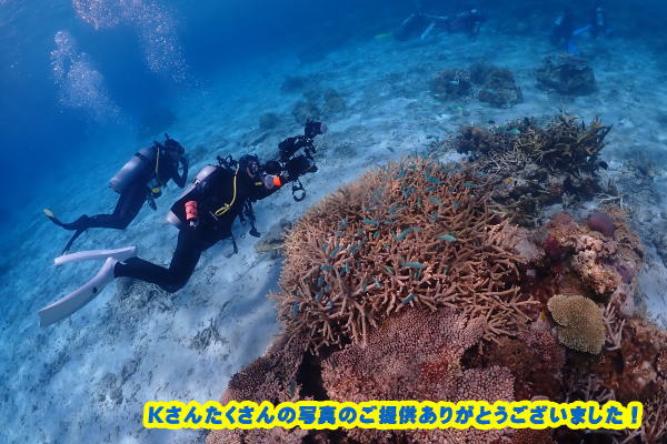 沖縄　座間味ツアー