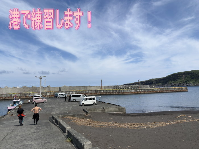 ドルフィンスイム