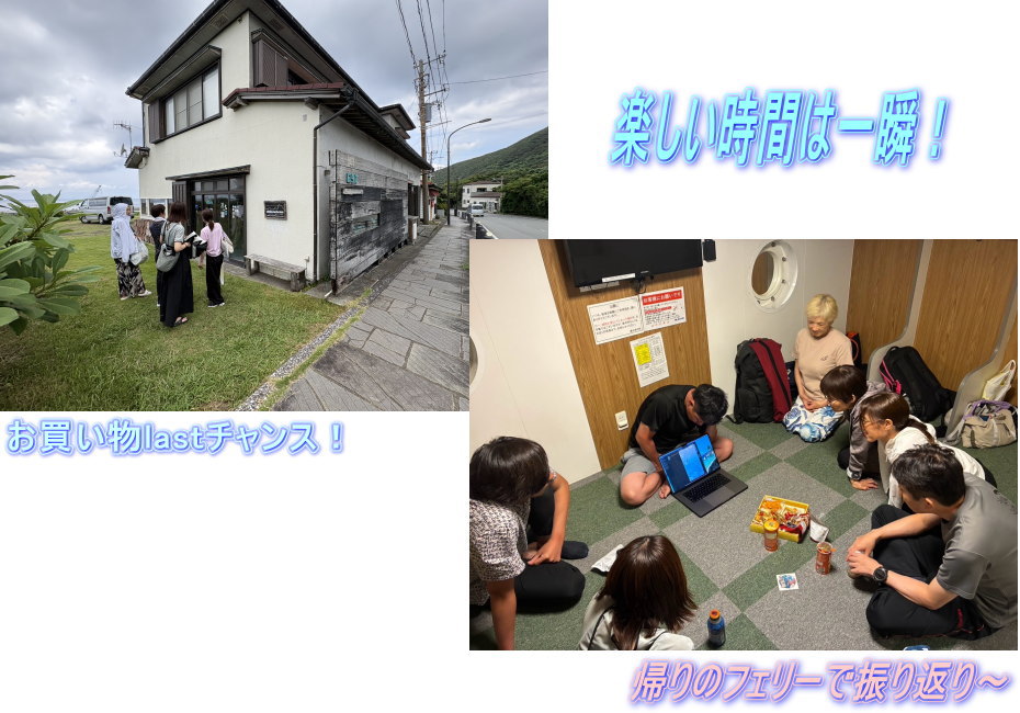 ドルフィンスイム