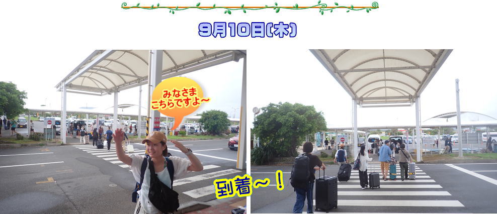 奄美大島　マッコウスイム