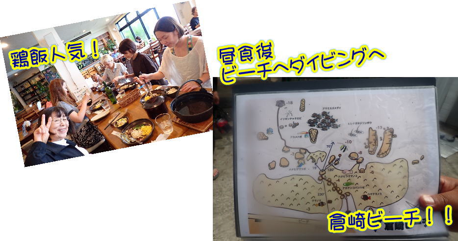 奄美大島　マッコウスイム
