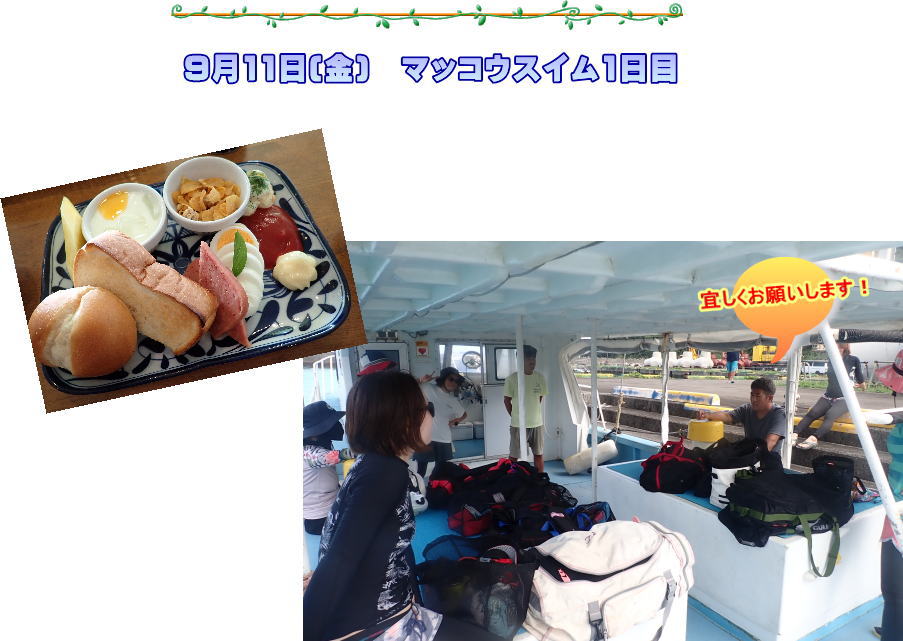 奄美大島　マッコウスイム