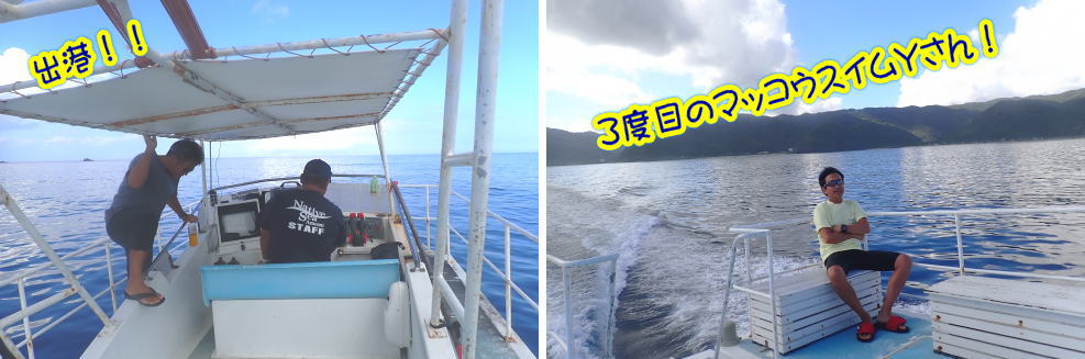 奄美大島　マッコウスイム