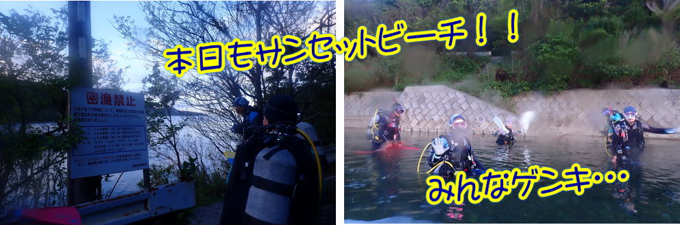 奄美大島　マッコウスイム