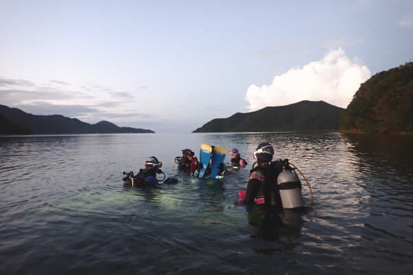 奄美大島　マッコウスイム