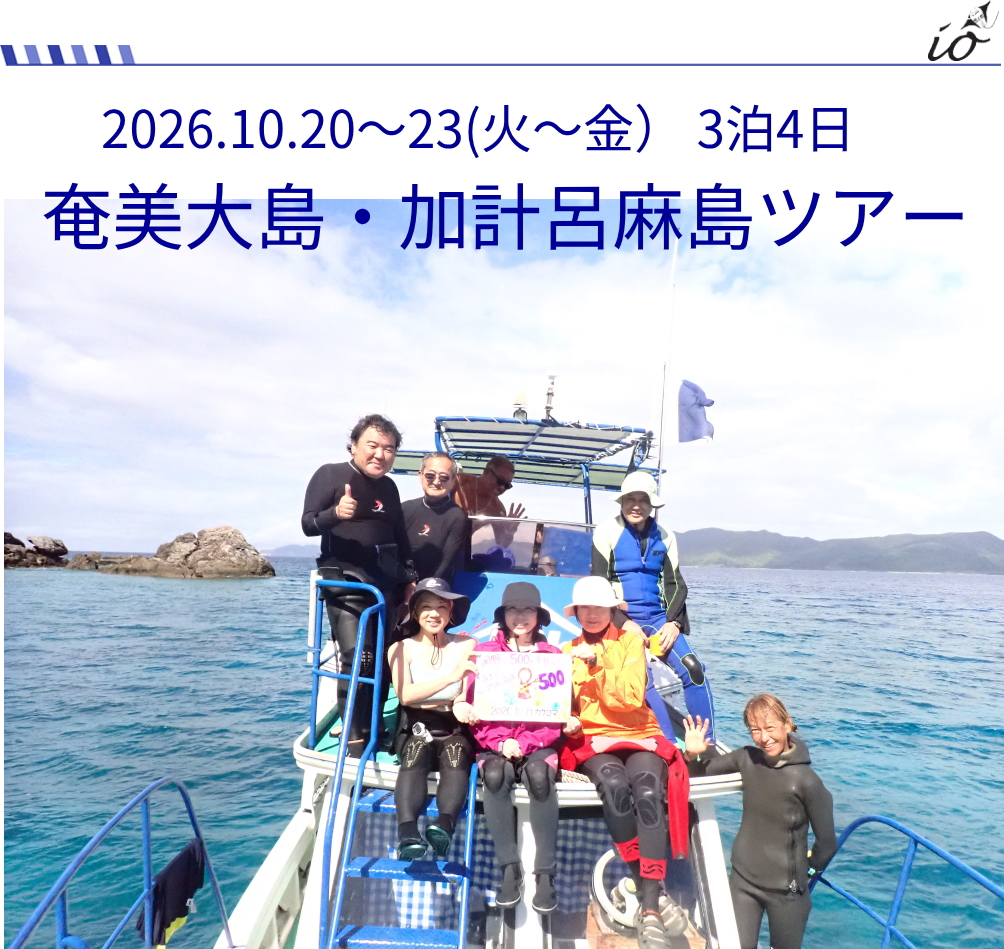 加計呂麻ツアー