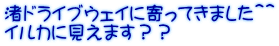 渚ドライブウェイに寄ってきました＾＾ イルカに見えます？？