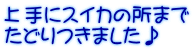 上手にスイカの所まで たどりつきました♪