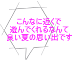 こんなに近くで 遊んでくれるなんて 良い夏の思い出です