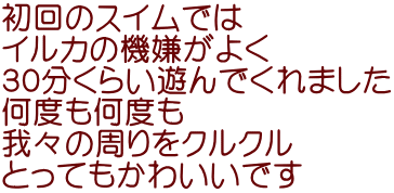 初回のスイムでは　 イルカの機嫌がよく ３０分くらい遊んでくれました 何度も何度も 我々の周りをクルクル とってもかわいいです