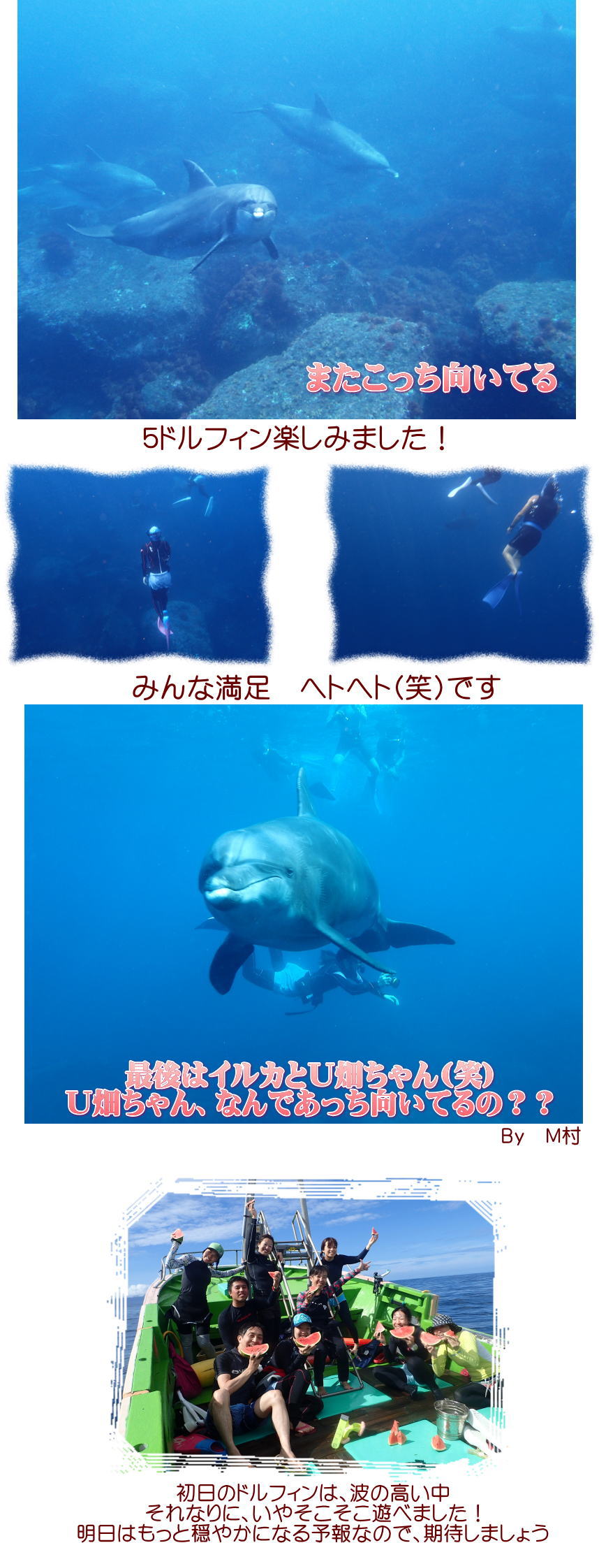 御蔵島ドルフィンスイム