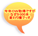 今年ＯＷ取得ですが なぜか300本 変わり種でっす 