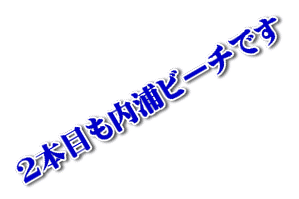 2本目も内浦ビーチです