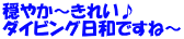 穏やか～きれい♪ ダイビング日和ですね～