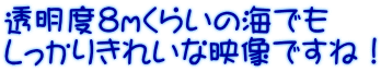 透明度8ｍくらいの海でも しっかりきれいな映像ですね！