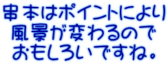 串本はポイントにより 風景が変わるので おもしろいですね。