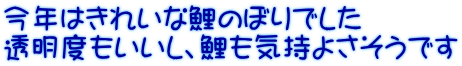 今年はきれいな鯉のぼりでした 透明度もいいし、鯉も気持よさそうです