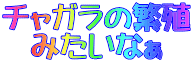 チャガラの繁殖 みたいなぁ