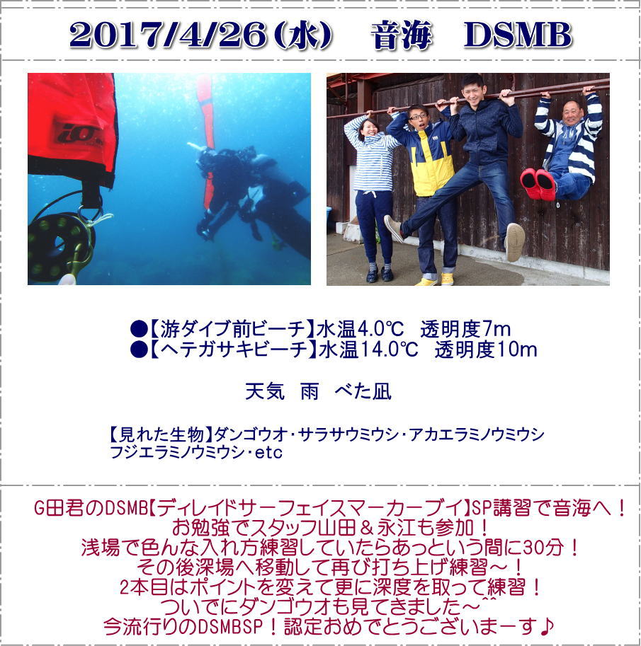 音海DSMB講習