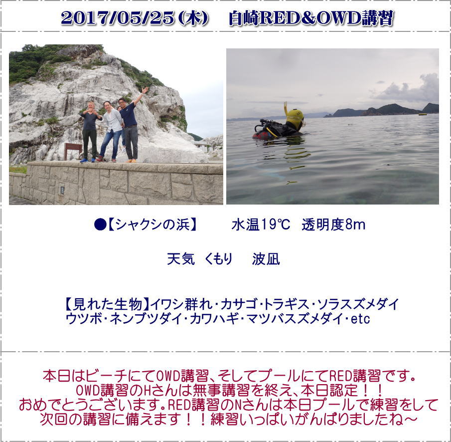 白崎OWD＆RED講習