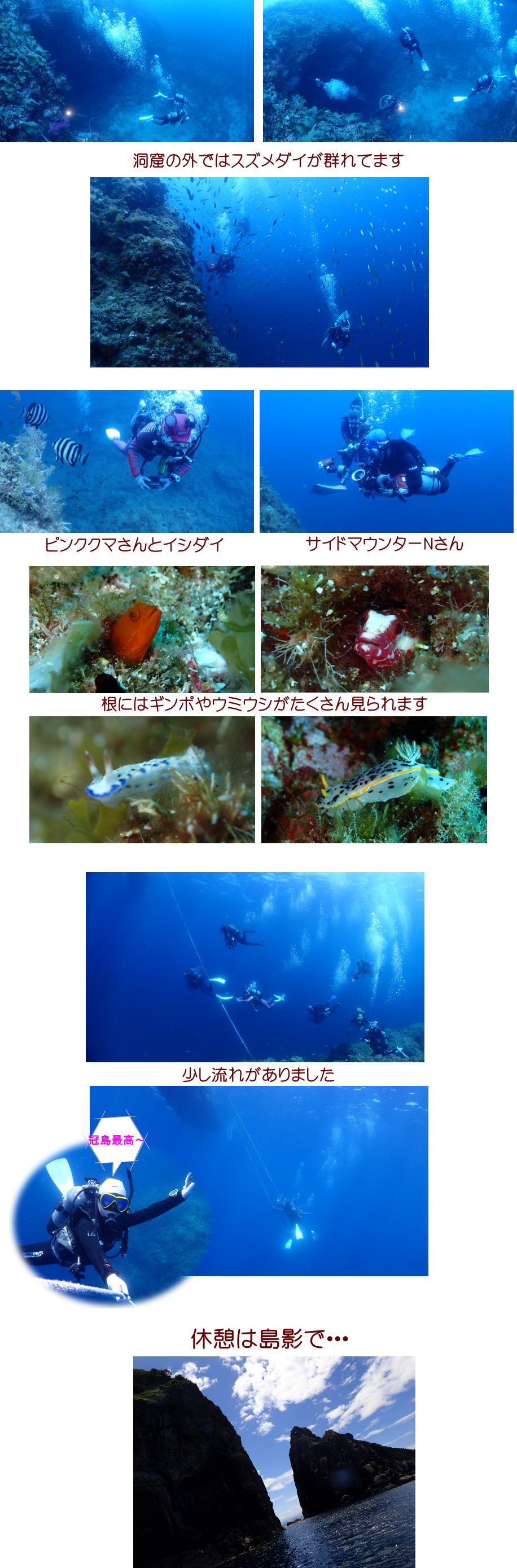 冠島ダイビング