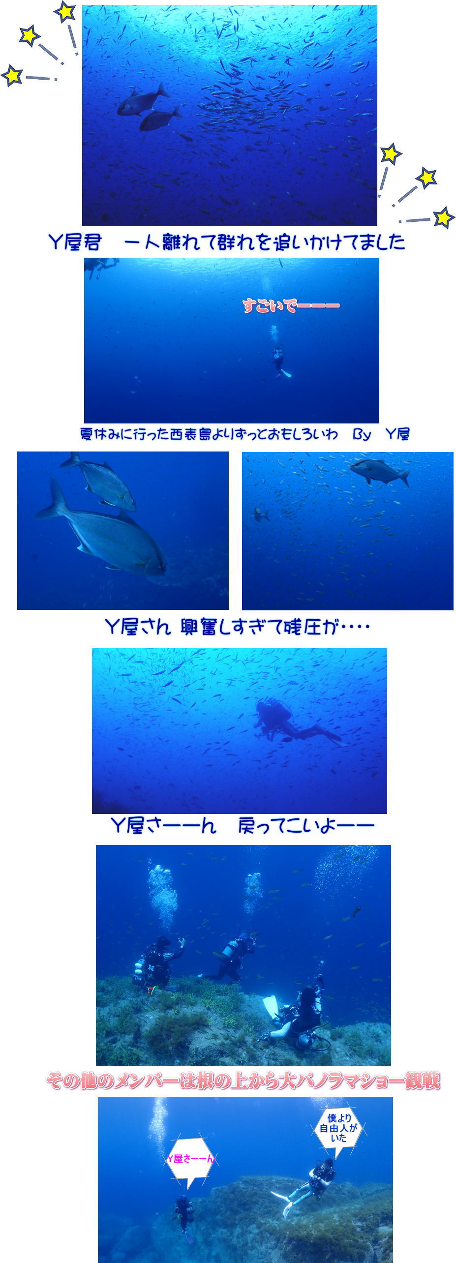 夏季限定冠島ダイビング