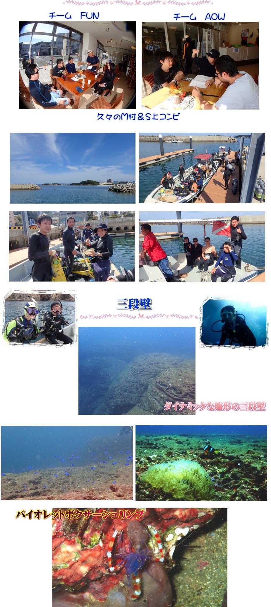 白浜沈船ダイビング