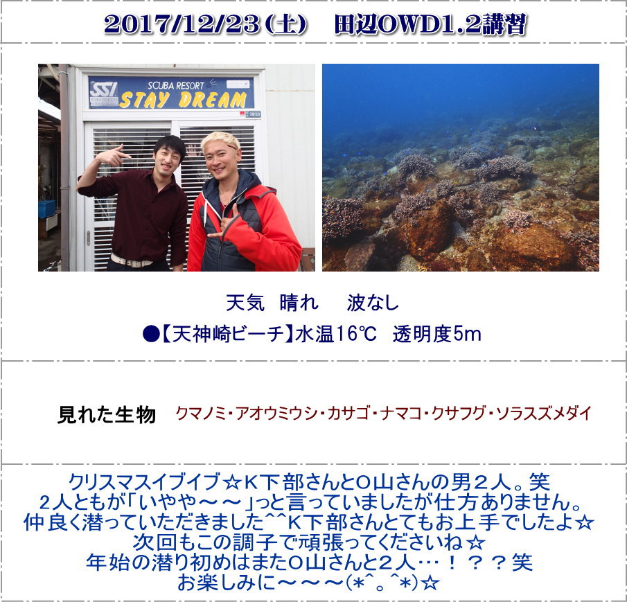 田辺OWD講習