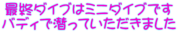 最終ダイブはミニダイブです バディで潜っていただきました